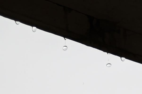 roofrain